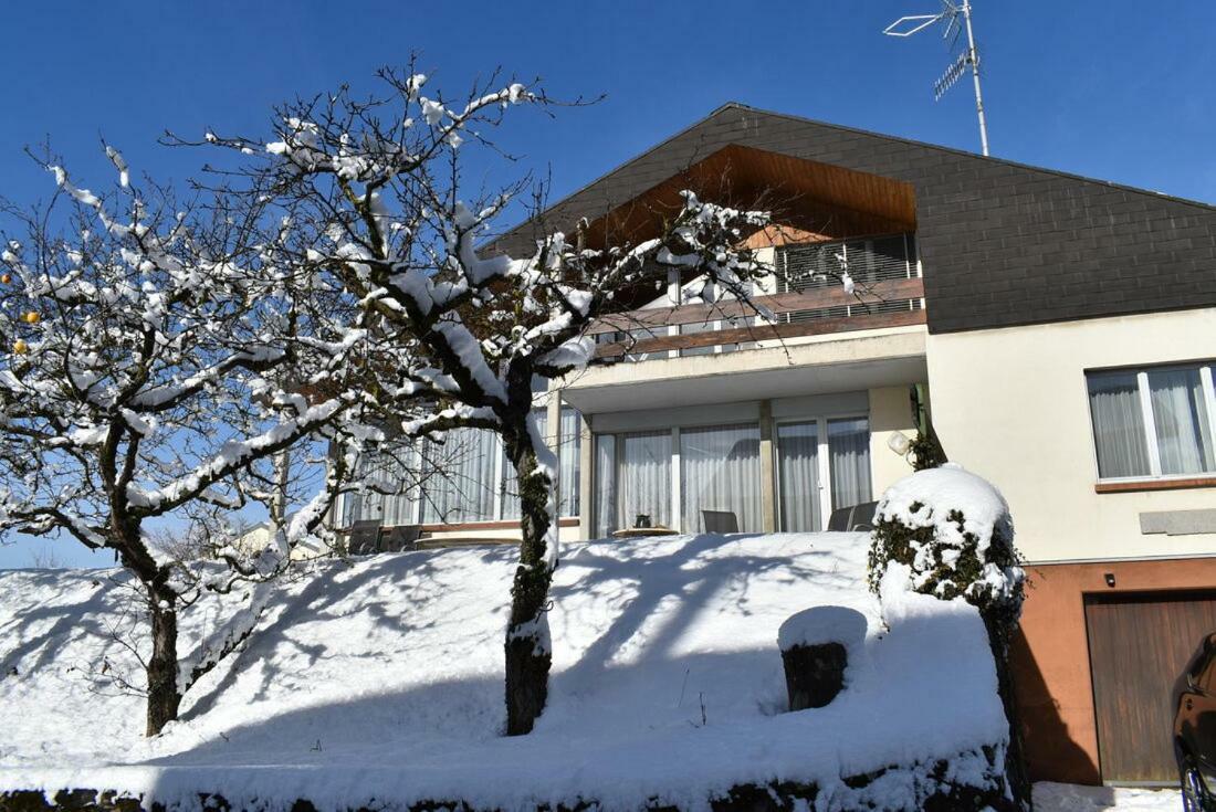 Maison Familiale A Montreux Avec Vue Sur Le Lac Βίλα Εξωτερικό φωτογραφία