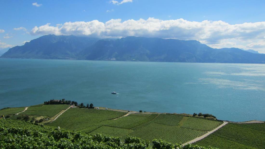 Maison Familiale A Montreux Avec Vue Sur Le Lac Βίλα Εξωτερικό φωτογραφία