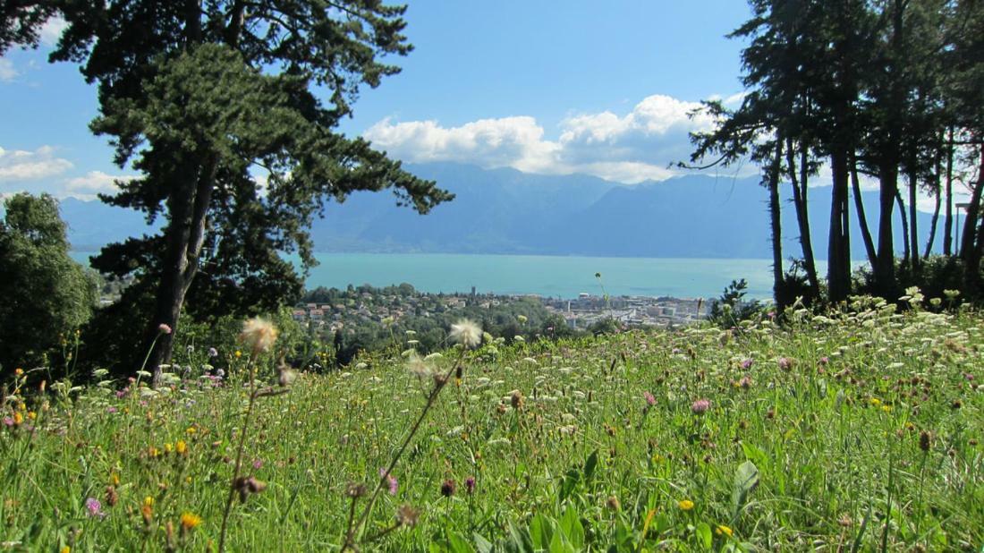 Maison Familiale A Montreux Avec Vue Sur Le Lac Βίλα Εξωτερικό φωτογραφία