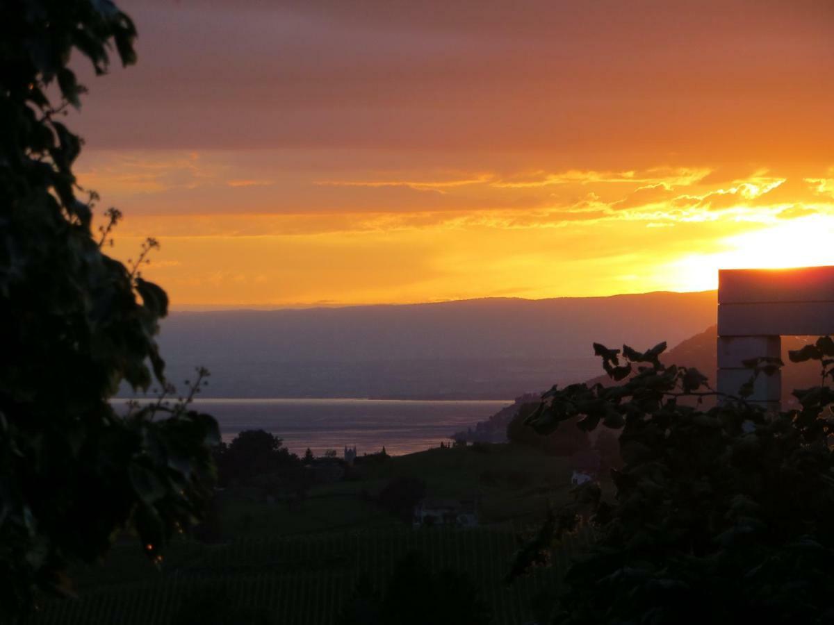 Maison Familiale A Montreux Avec Vue Sur Le Lac Βίλα Εξωτερικό φωτογραφία